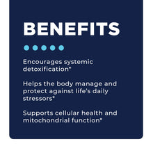 Load image into Gallery viewer, RAD Support Protocol - Cell Repair and Renewal