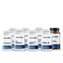 Load image into Gallery viewer, Stomach Support Protocol