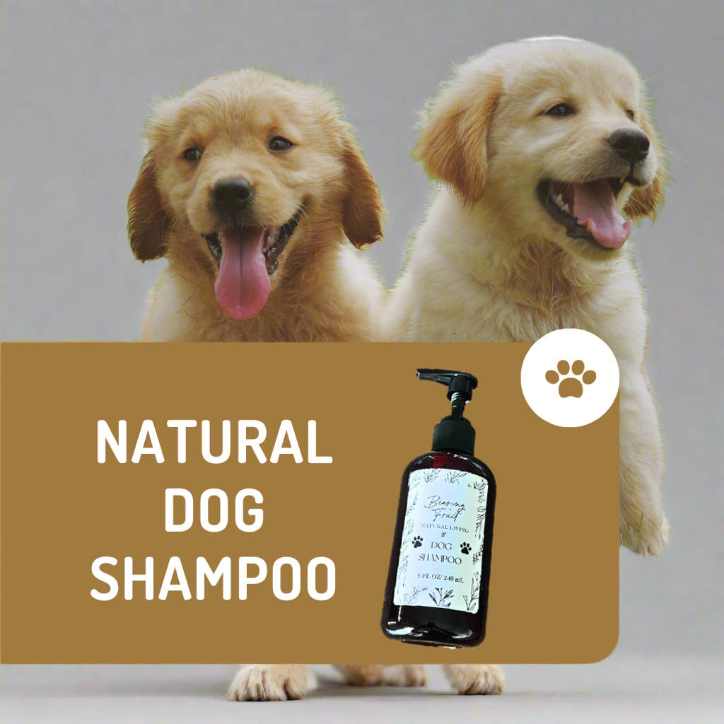 Natural Dog Shampoo